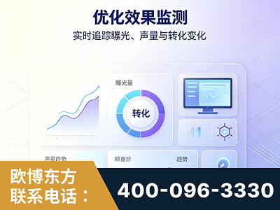 福州-优化效果监测